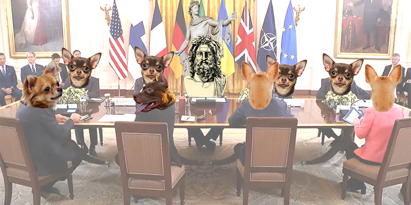 Jupiter und seine Chihuahuas